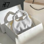 A Single Unit of The Latest Cloud Bag - a Small Pleated Clutch with an Adjustable Shoulder Strap, Featuring a Premium Matte End, Perfect for Everyday Use And Casual Events. This Compact Handbag Exudes Sophistication